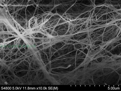 细菌纤维素BC，SEM3.jpg